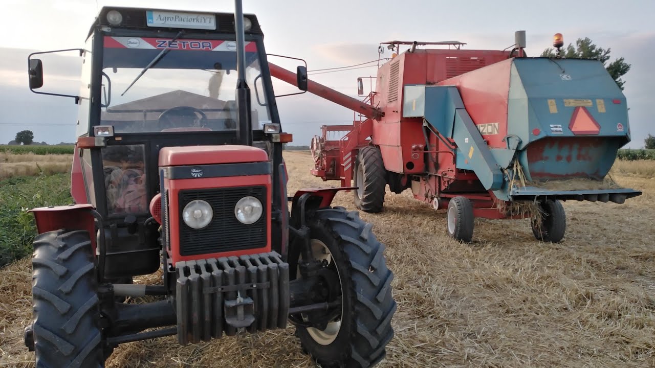 Żniwa 2019 u AgroPaciorkiYT✩Bizon Z056✩Zetor 7245 & 2x Autosan D732✩Pszenżyto