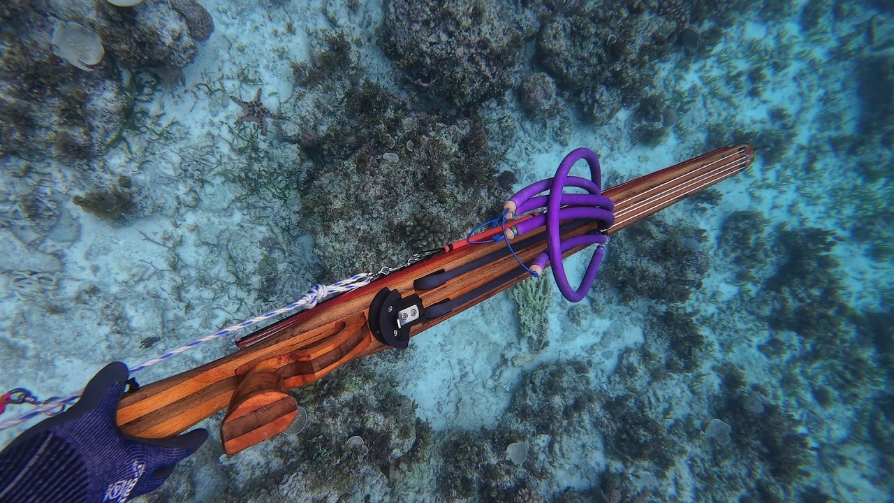 Demultiplied First Blood on the Hunt! | New Acquired Arsenal 120cm | Territorial Fish Spear Fishing!