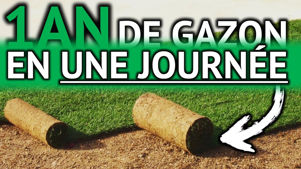 Installer un gazon de placage comment ça marche ?!