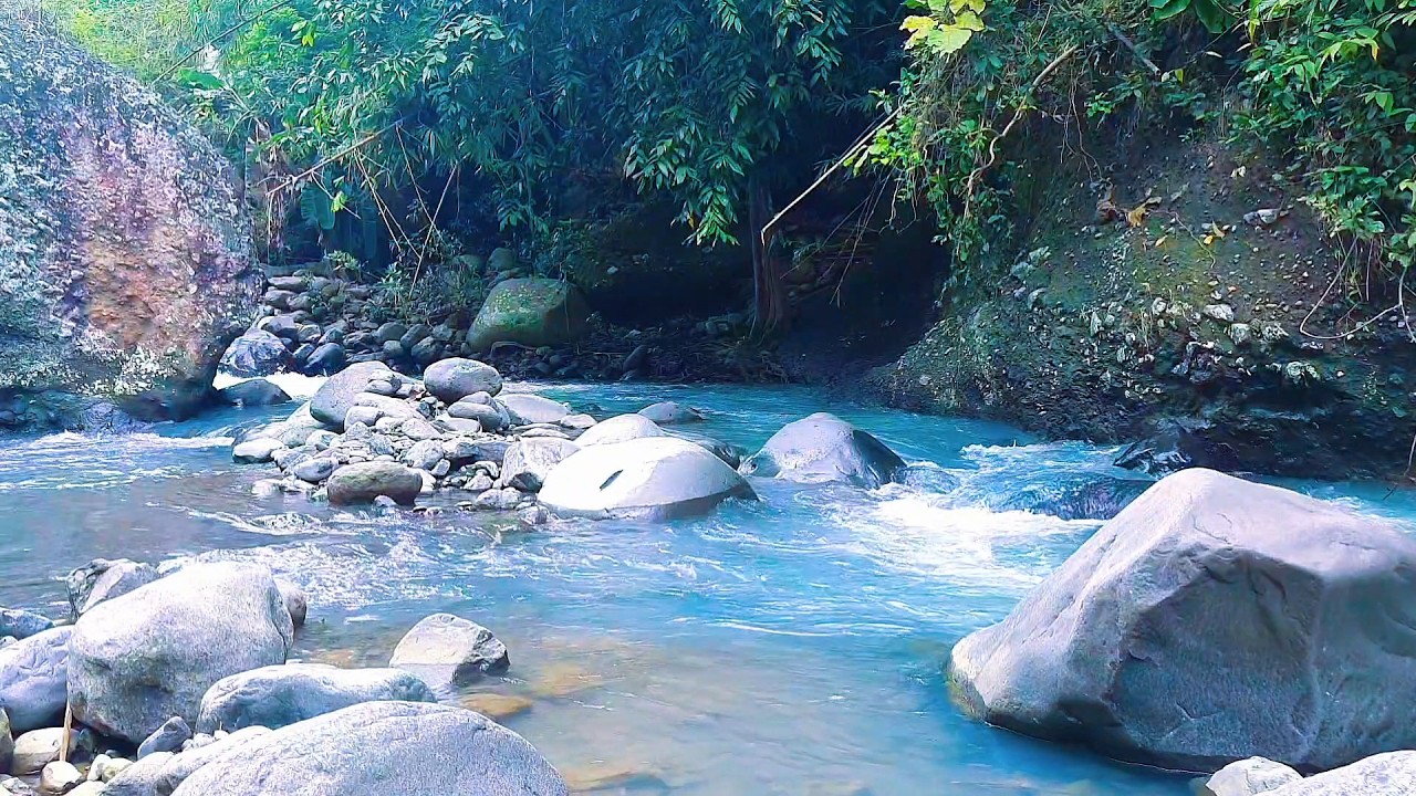 Natural River Ambience for Calm Evenings