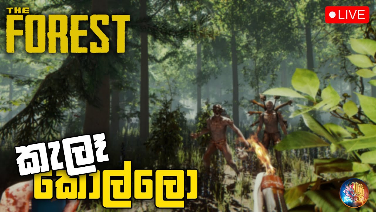 කැලෑ කොල්ලො | The Forest With Bois