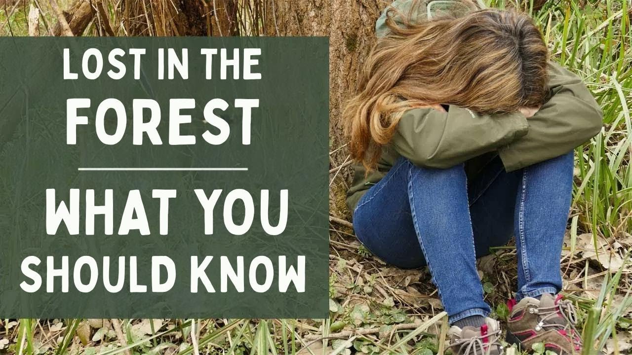 How to Never Get Lost in the Woods: What You Need to Know!