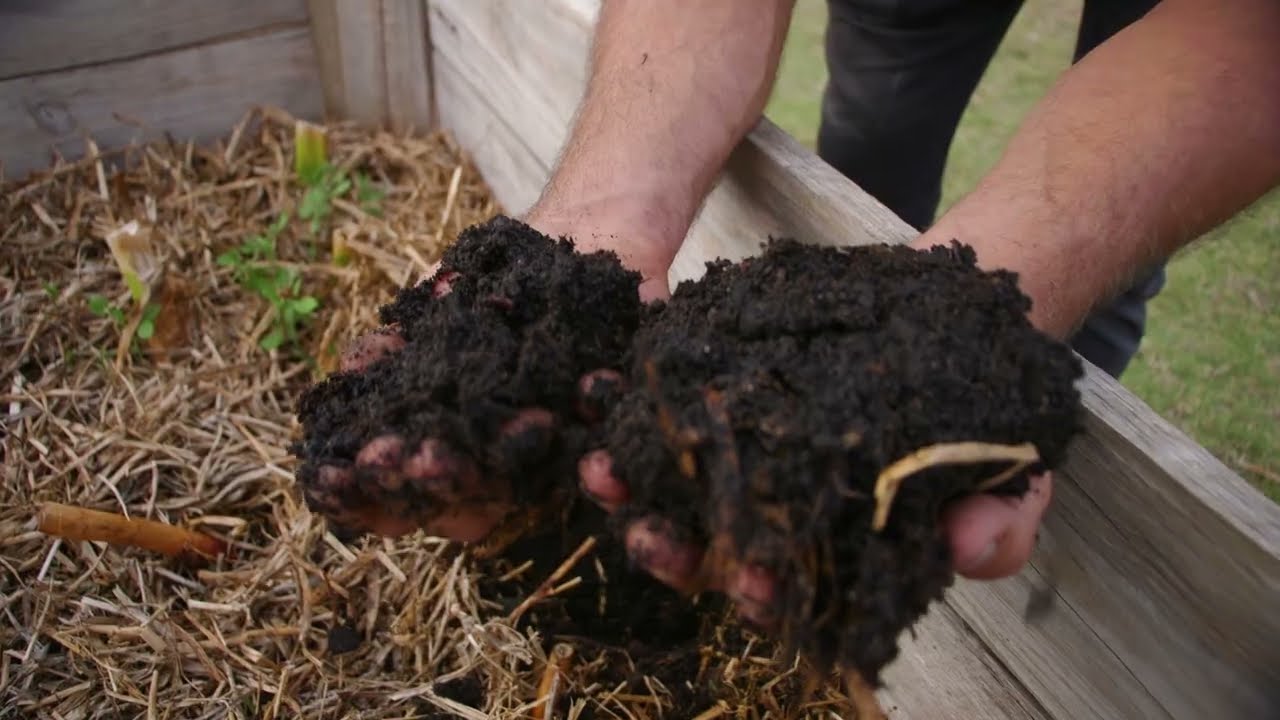 Have you kept up with feeding your soil