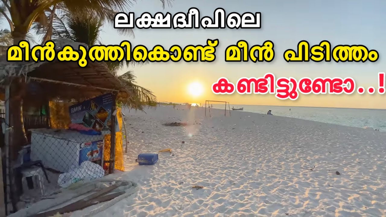 ലക്ഷദ്വീപിലെ നീരാളി വേട്ട 🐙 | Night Fish Hunting 😱 Puffer Fish #lakshadweep #fishhunting #agatti 