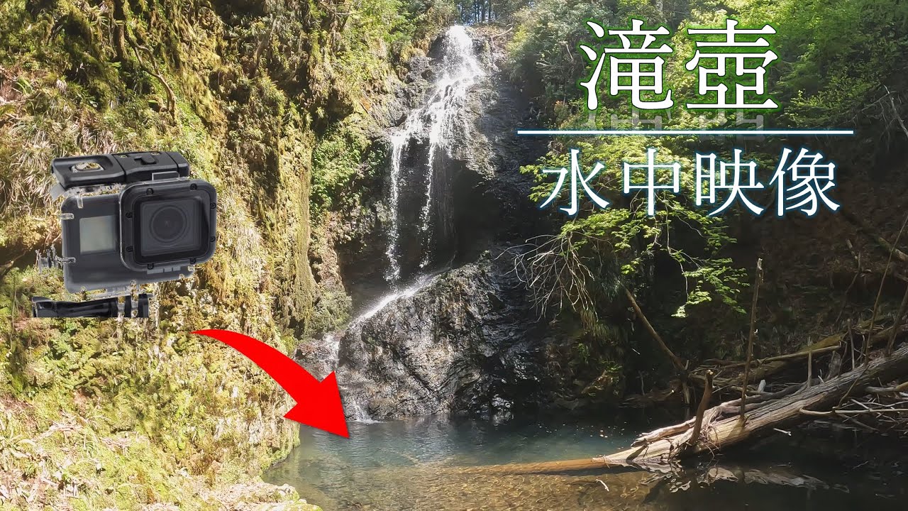 滝の下にはどんな魚がいる？水中に広がる楽園を覗いてみた