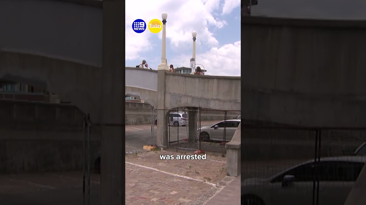 Man charged over Bondi behaviour | 9 News Australia