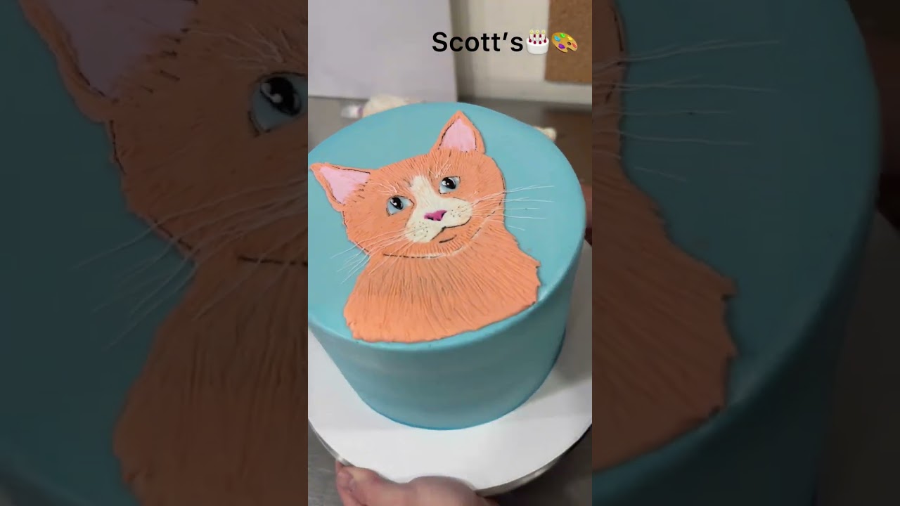 Esme’s surprise cake. Enjoy. #scottscakeart