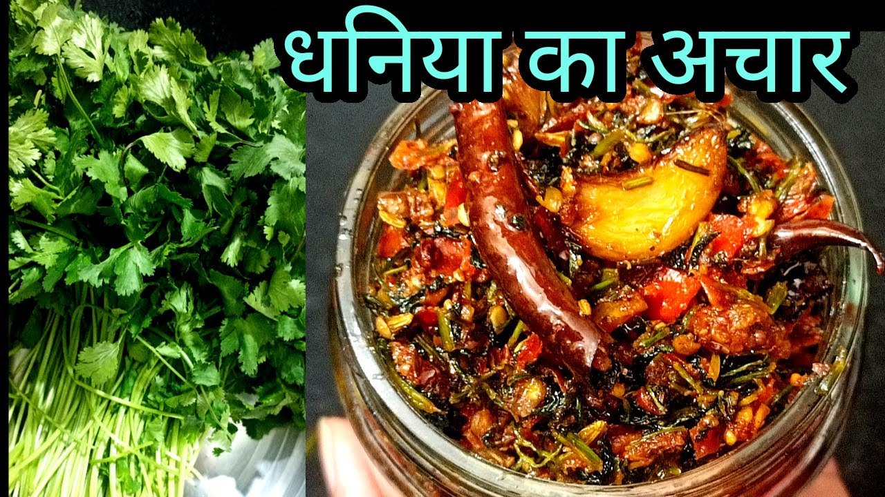 धनिया की चटनी नहीं अचार बना कर देखिये खा कर मजा आ जायेगा Green Coriander Pickle Recipe धनिया का अचार
