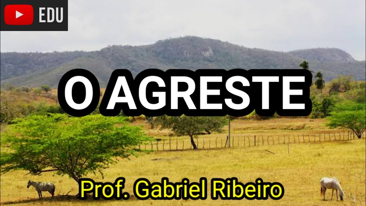 Região Nordeste: O Agreste | 7° Ano - Aula de geografia