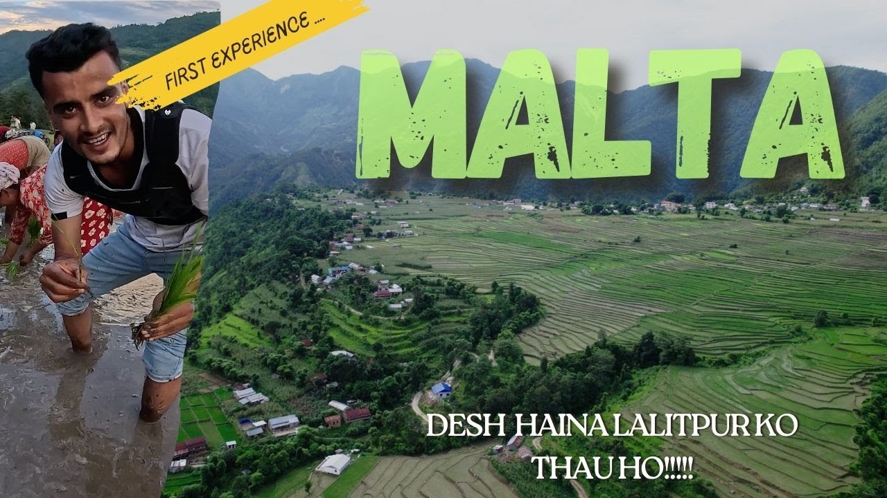 First Ropai experience in MALTA | DESH HAINA THAU HO! 😄🌾 #lalitpur #nature #travel #southlalitpur
