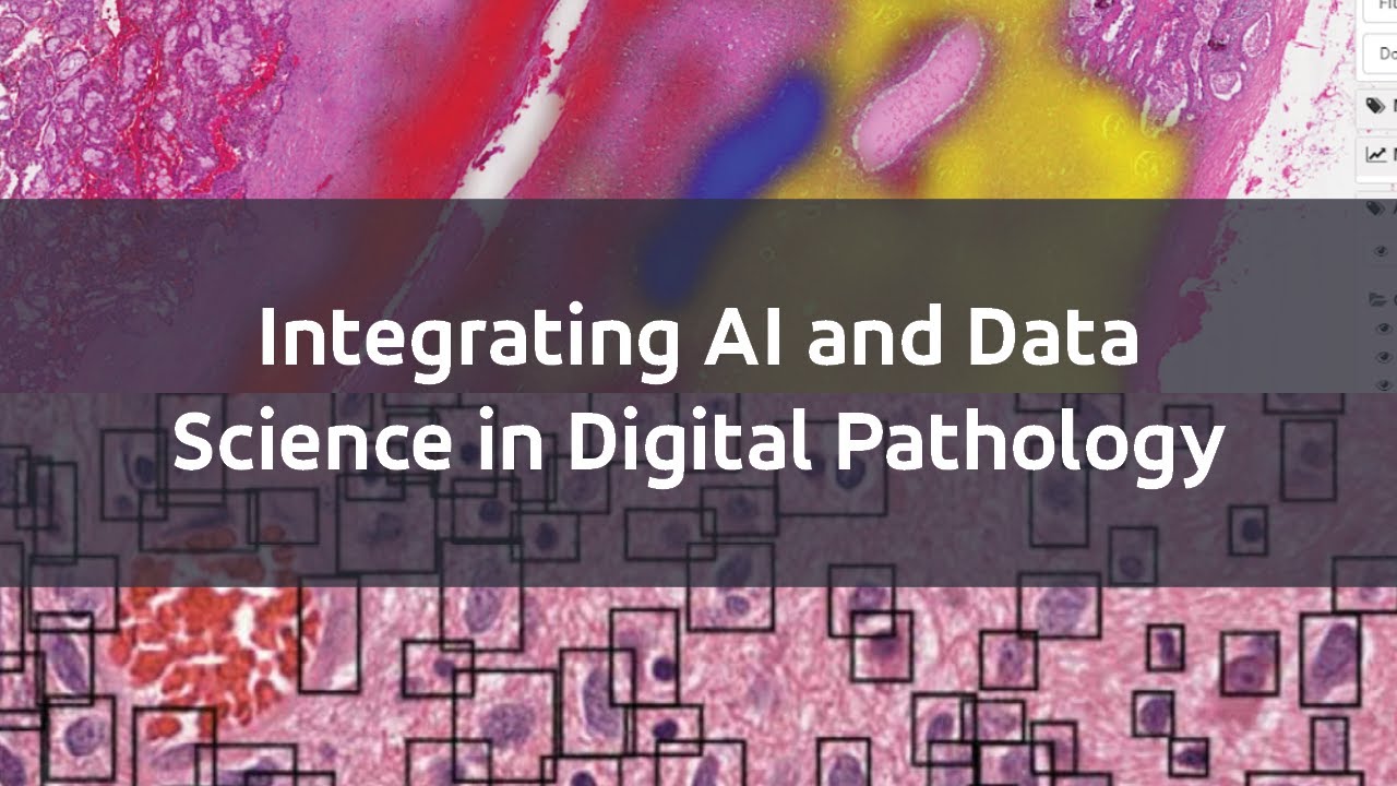 Integrating AI and Data Science in Digital Pathology