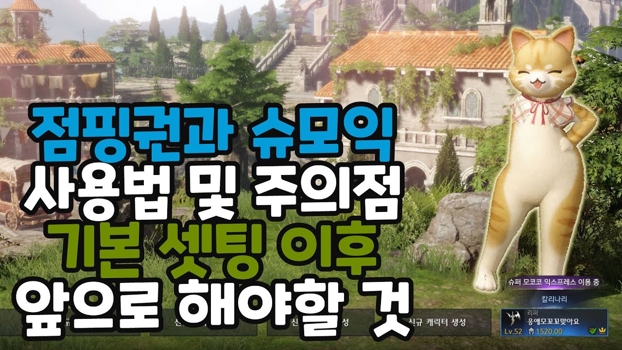 로스트아크 점핑권과 슈퍼 모코코 익스프레스 사용법 및 주의사항 그리고 캐릭터 셋팅 이후 앞으로 해야 하는 것들