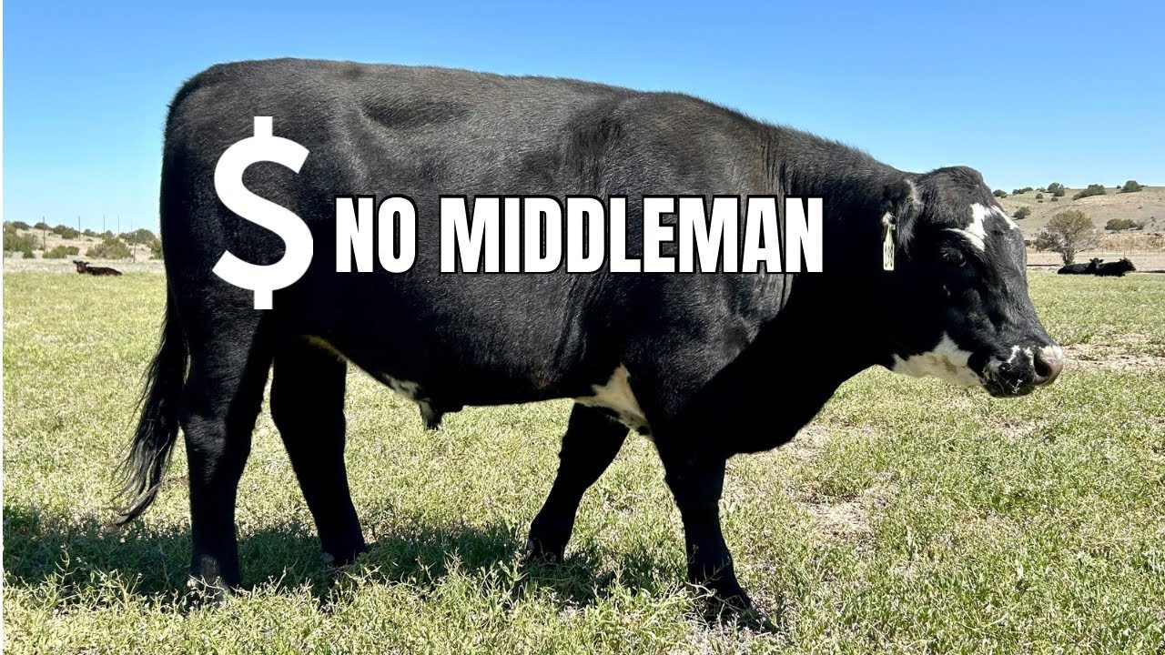 🐂 Direct-to-Consumer Beef Sales: Full Course