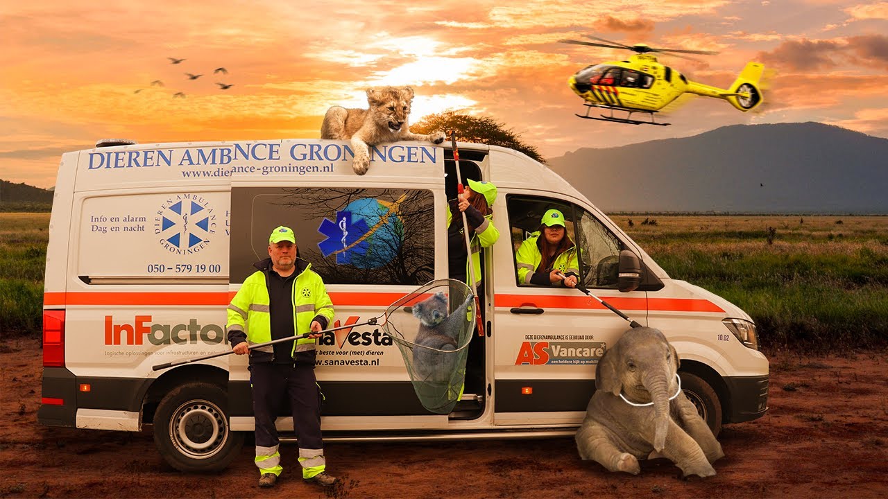 DIERENAMBULANCE INTERNATIONAL