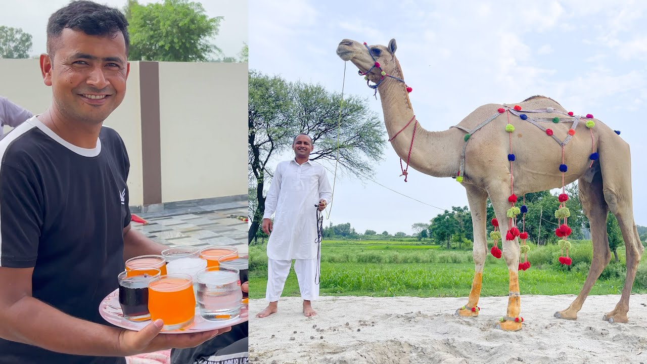 Eid Ul Adha Second & 3rd day Routine (#36) at our New Home