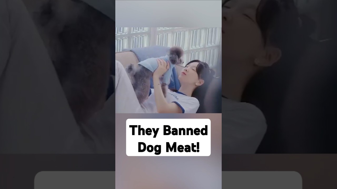The End of Dog Meat