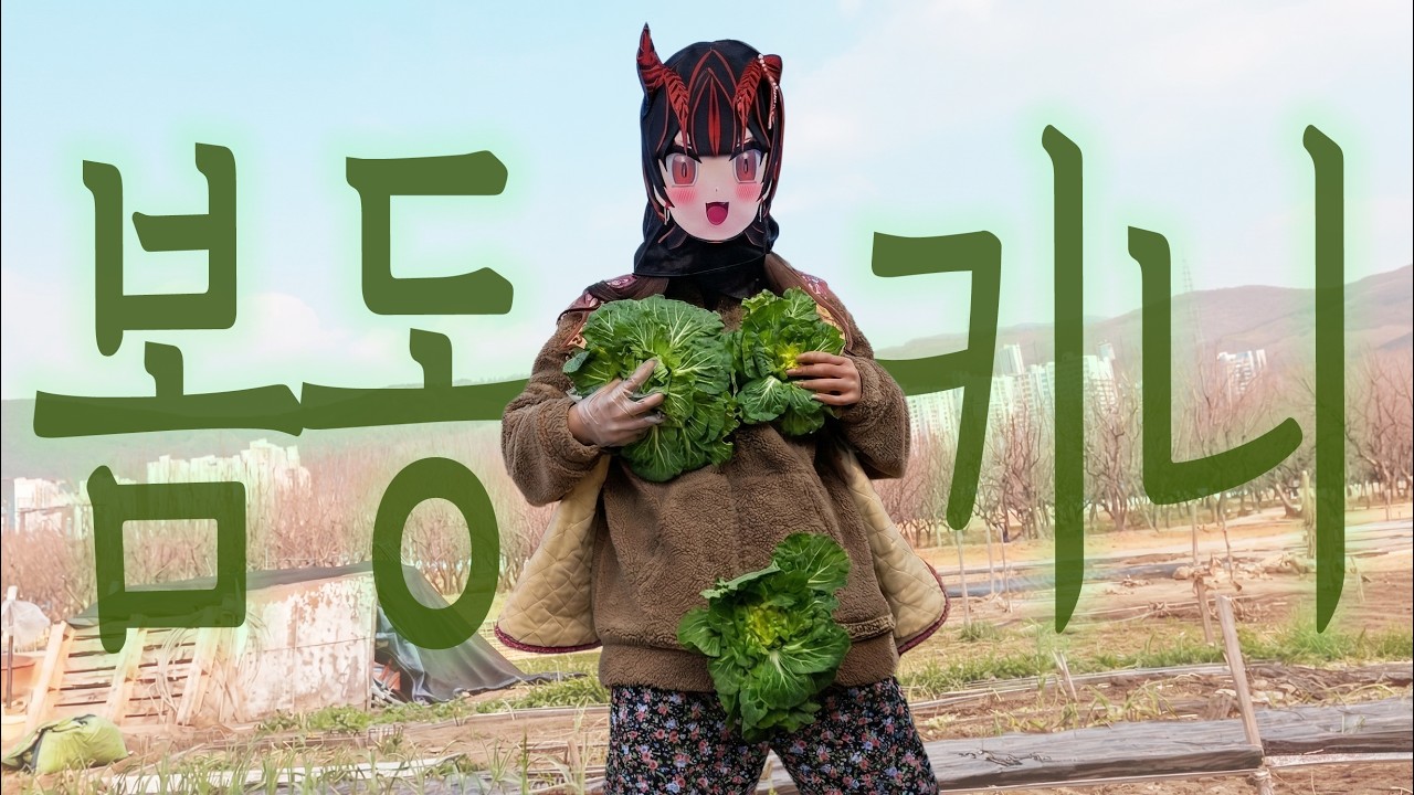 봄동키니