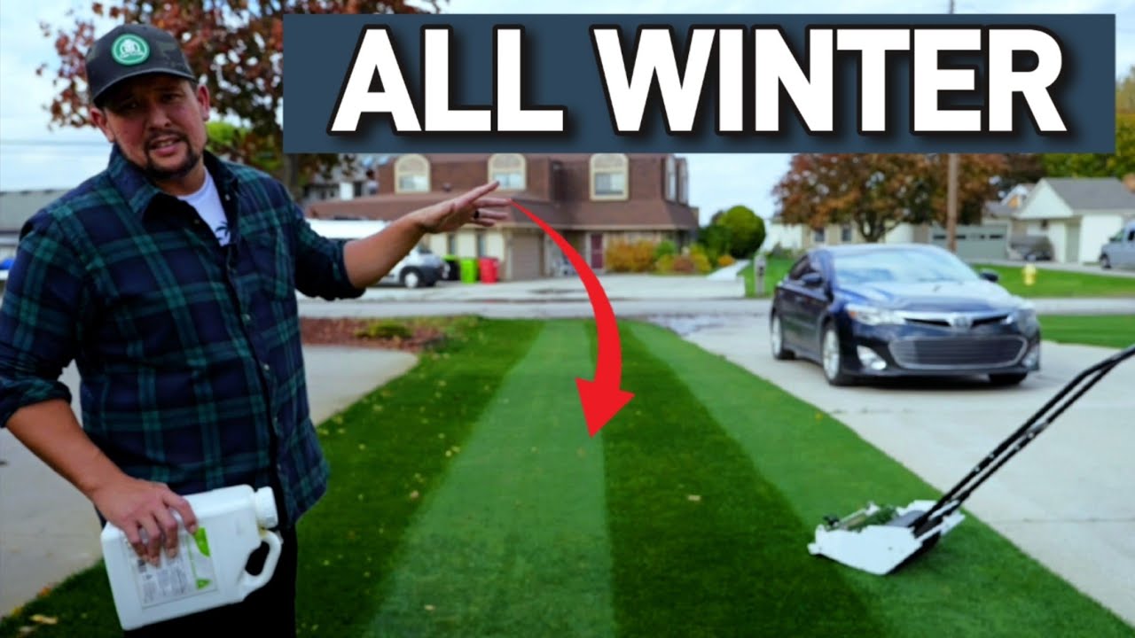 Secrets to a Lush Lawn All Winter Season Long ❄️ Feed Your Lawn This to have a Successful Spring