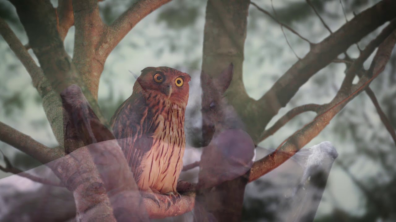 NMNH Gallery 11 - Terrestrial Protected Areas