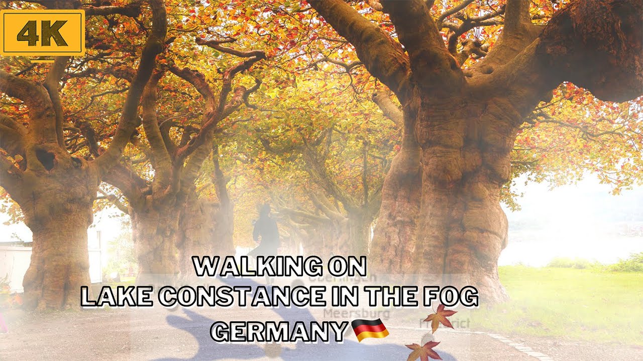 🇩🇪RadolfzellBodensee|| Nebelll 4K Walking on Lake Constance in The Fog//wandern|| Germany