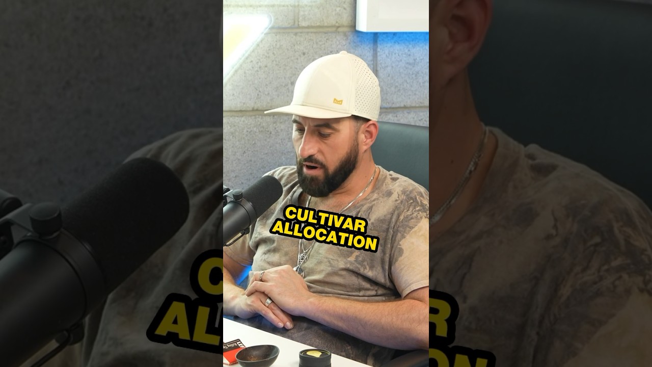 Advice for hash growers. #podcast