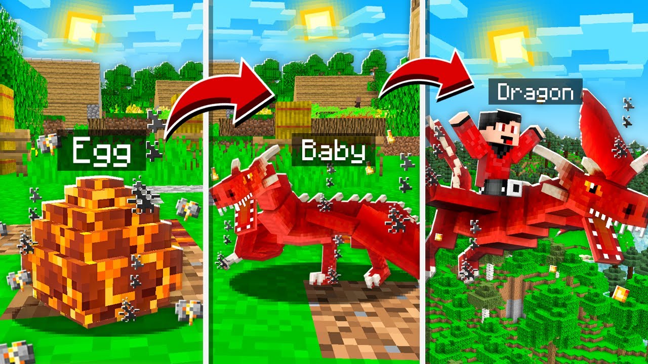 I TAMED The BEST DRAGON in Minecraft!