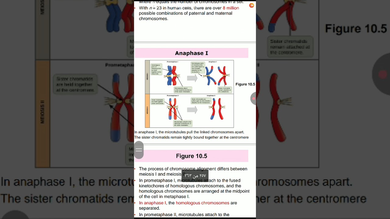 ١ مارس، ٢٠٢٦
