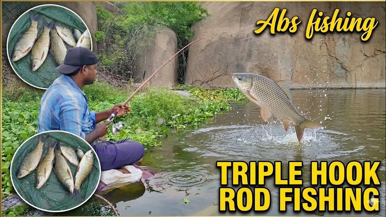 Fish Hunting | Triple Hook Fishing | Rohu Fish Catch | Fishing Rod | Fishing