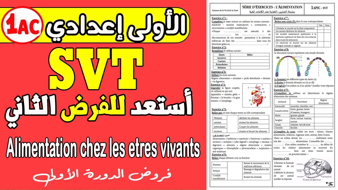 L'alimentation exercices 1 année collège svt | أستعد للفرض الثاني الاولى اعدادي