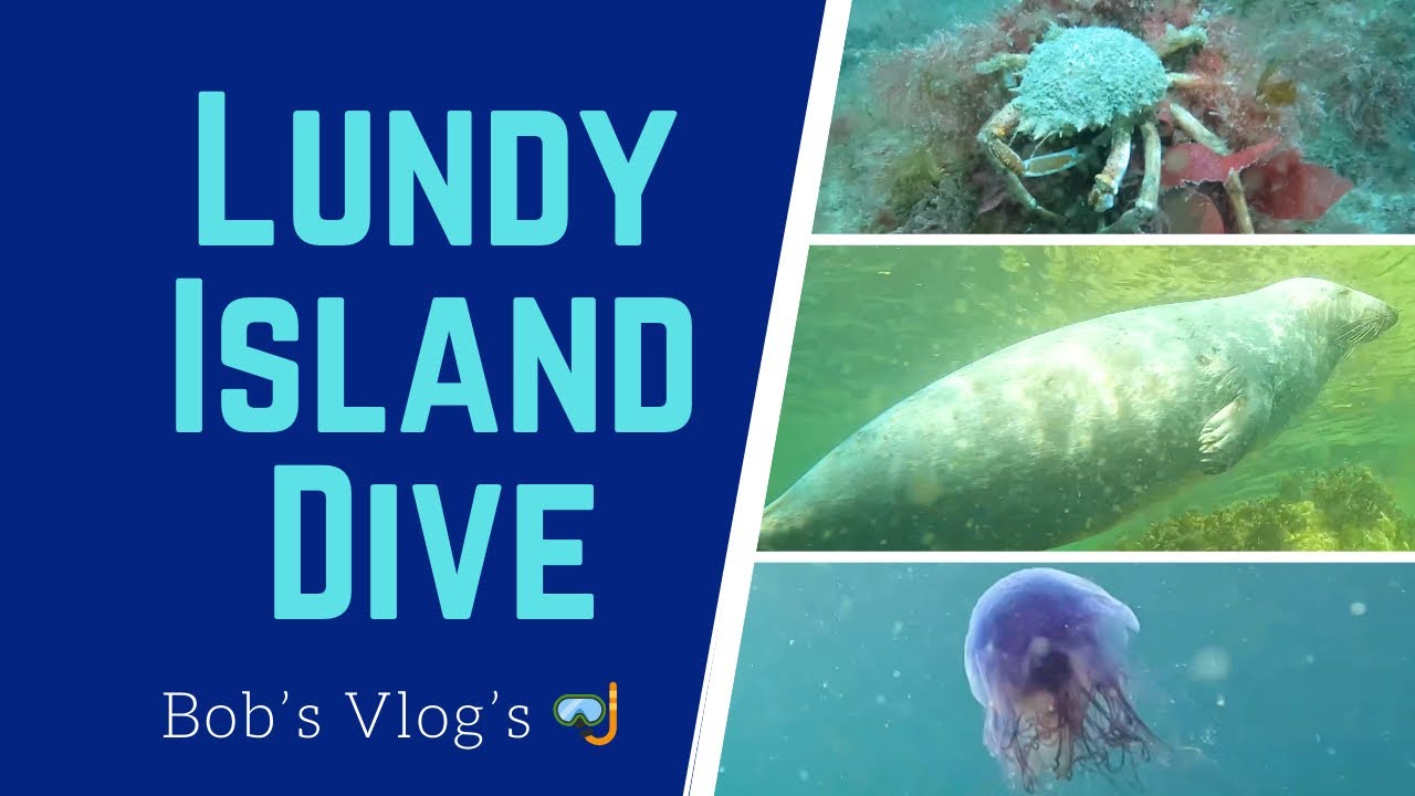 Seals, Jellyfish and Crabs | Lundy Island Scuba Diving