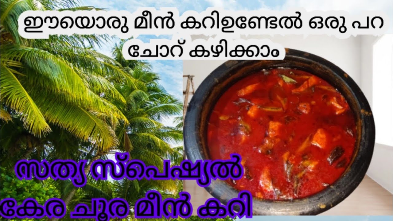  ഈ ഒരു  മീൻ കറിയുണ്ടേൽ ഒരു പറ ചോറ് കഴിക്കാം /Kerala style  spicy  Fish curry /Kera Churameen curry.