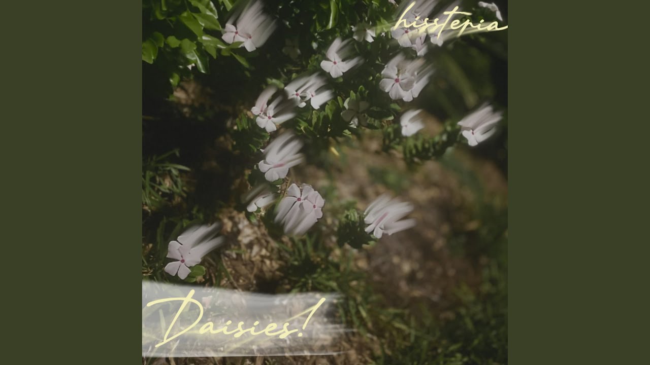 Daisies!