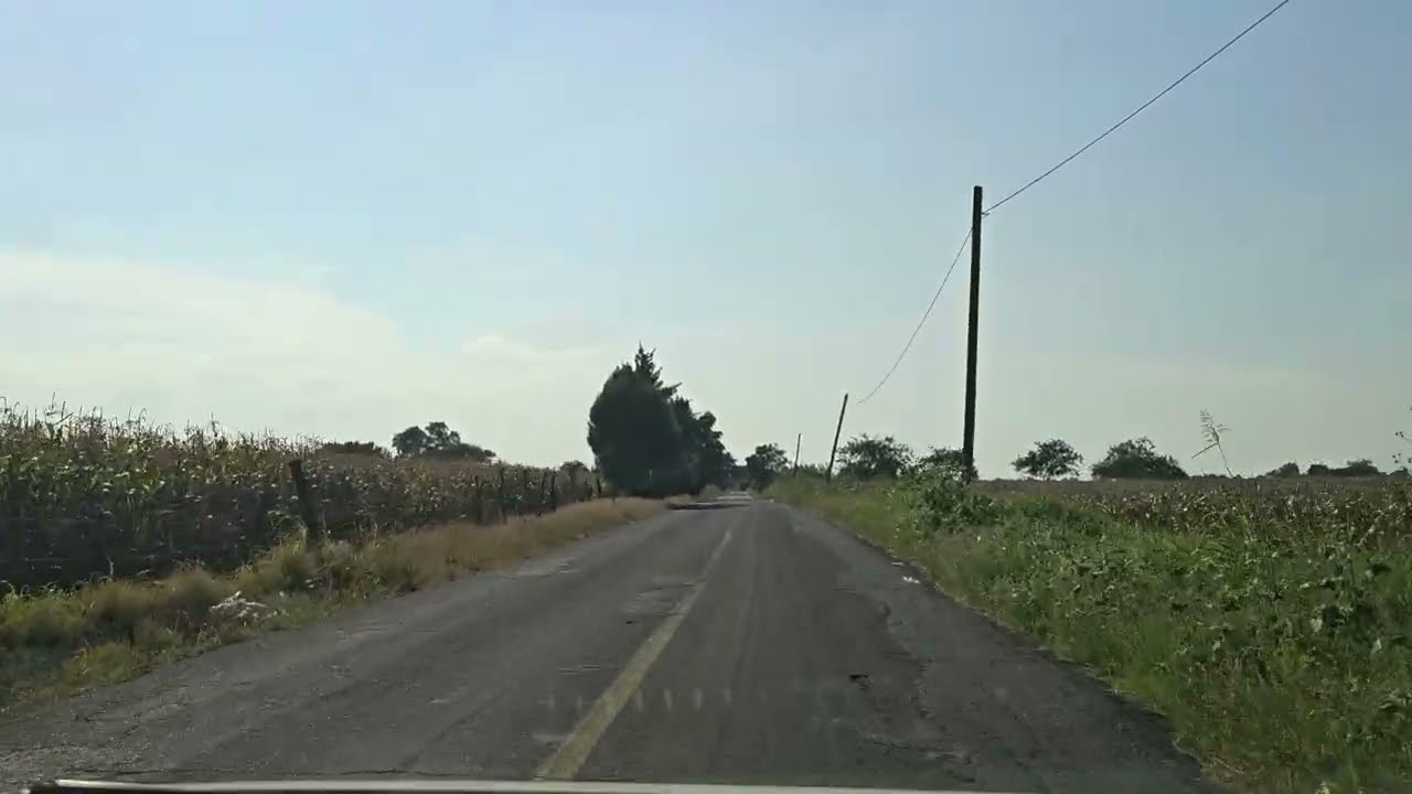 Explorando la Ciénega de Chapala: Productividad y Progreso en Pajacuarán Michoacán @cotidiano399