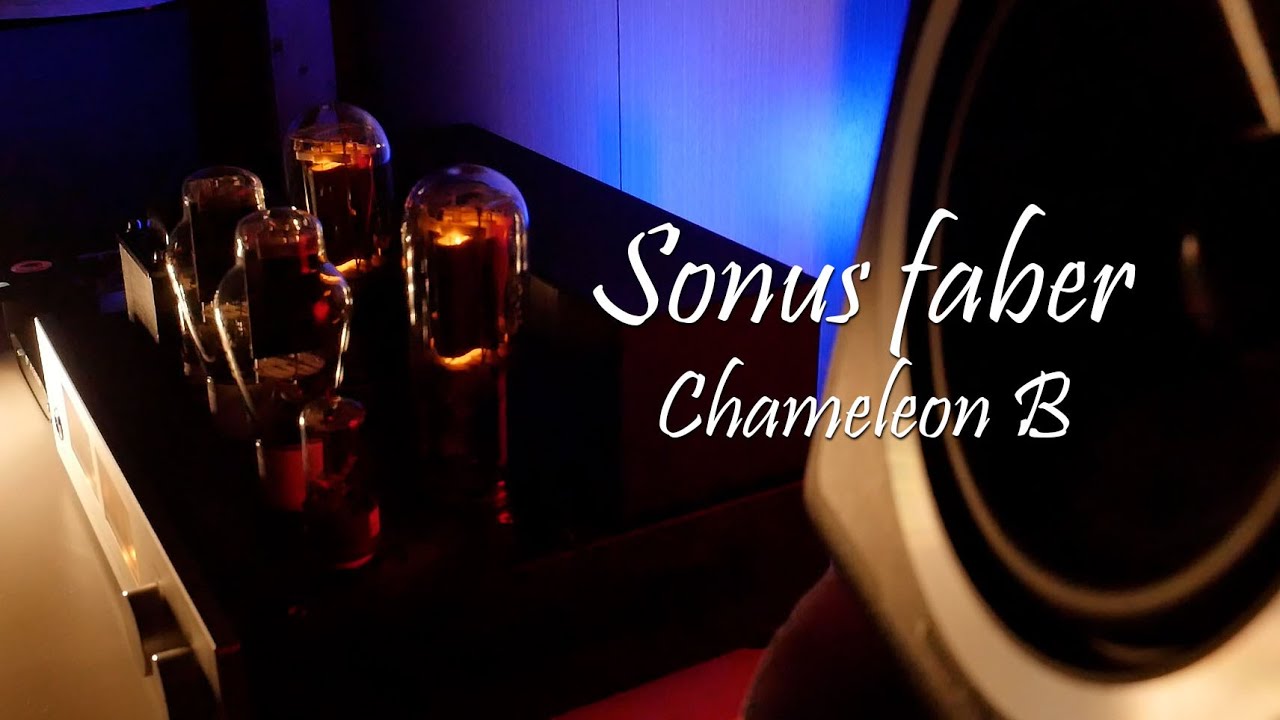 Sonus faber Chameleon B 搭配 OldChen 845-A