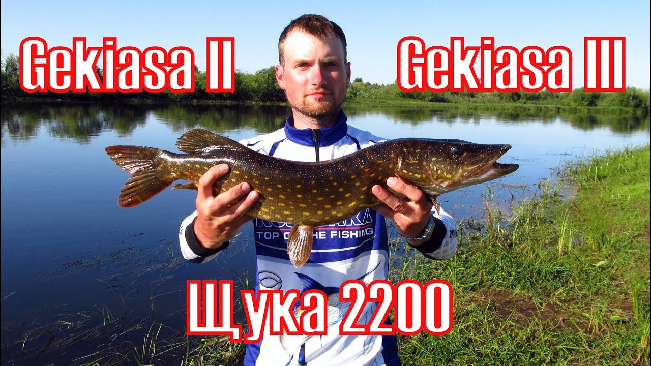 Безумный клев на Imakatsu Gekiasa II и Gekiasa III. Твич на реке. Kosadaka Intra, Lightning Pointer