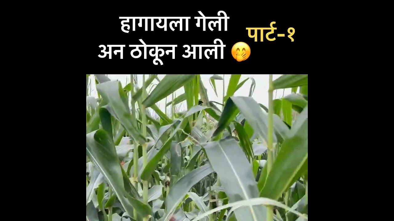 भाग 10 असेच व्हिडिओ बघण्यासाठी सबस्क्राईब करा #gavthi #youtubeshorts #गावठीदणका #lafad #viral 🥵🤤👀