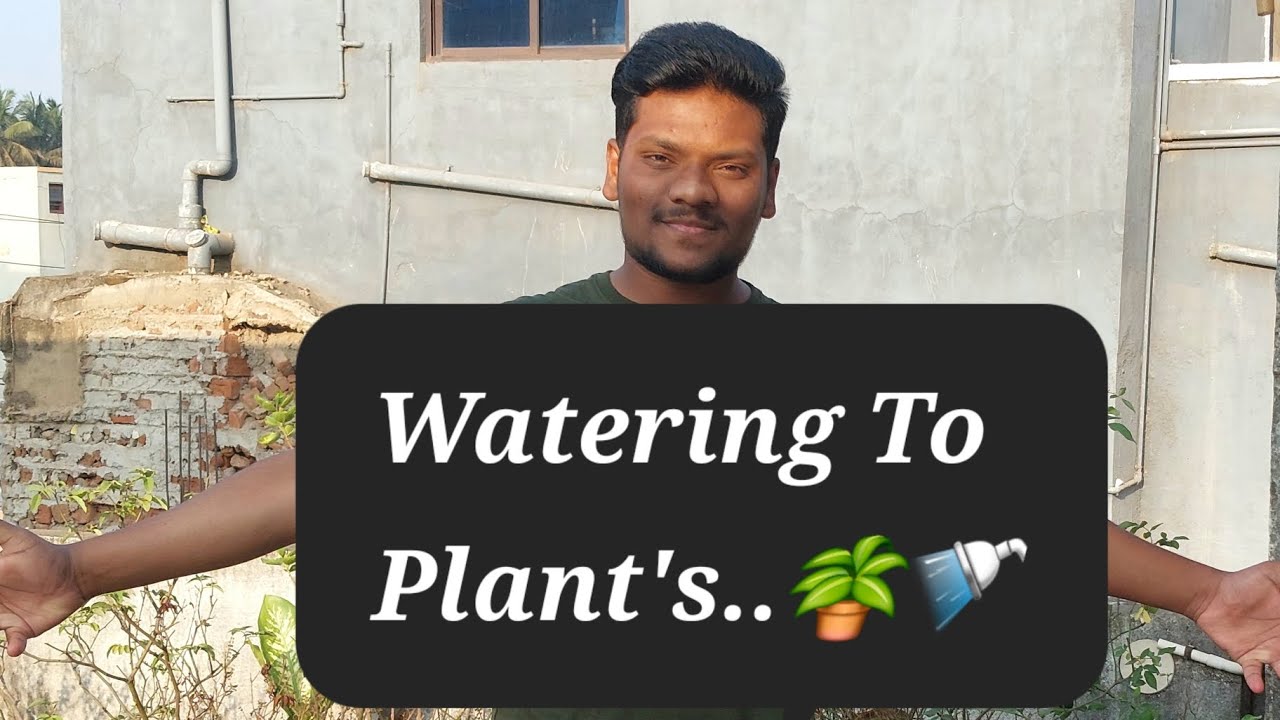 Watering To Plant's🚿🪴.(Don't Forget To Like  Share Comment & Subscribe To Our Channel👍).