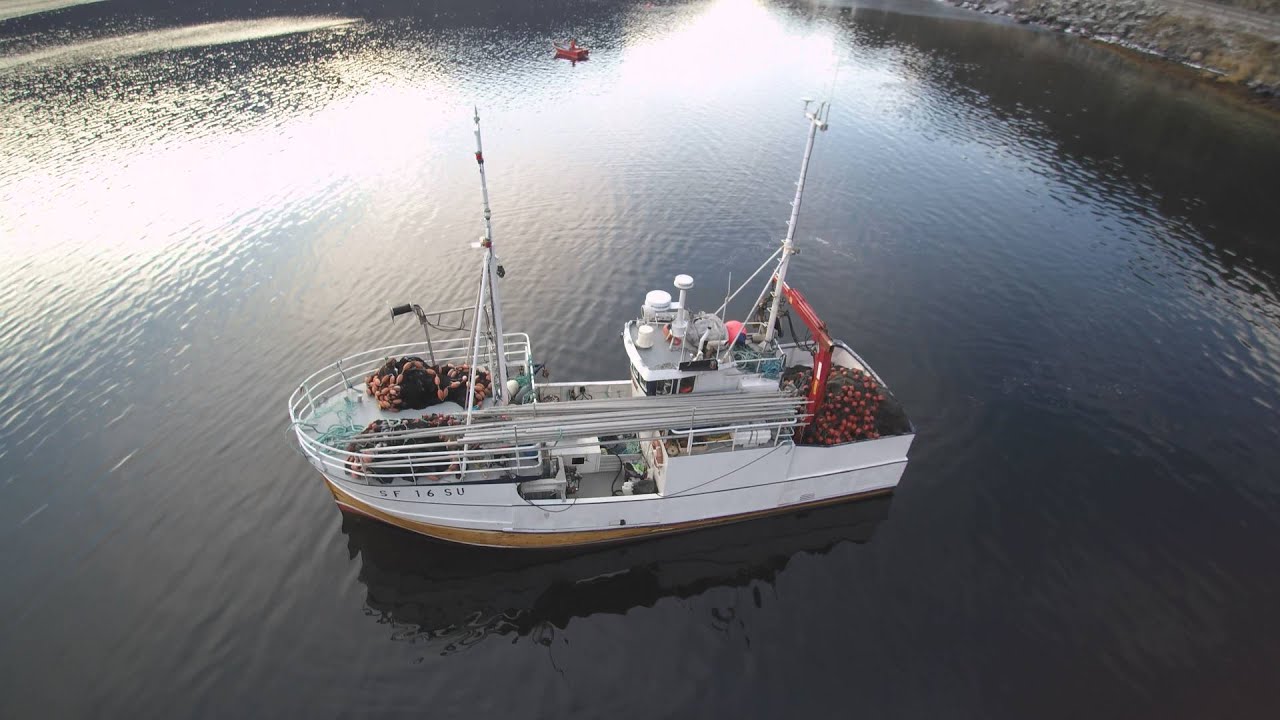 Brisling fiske