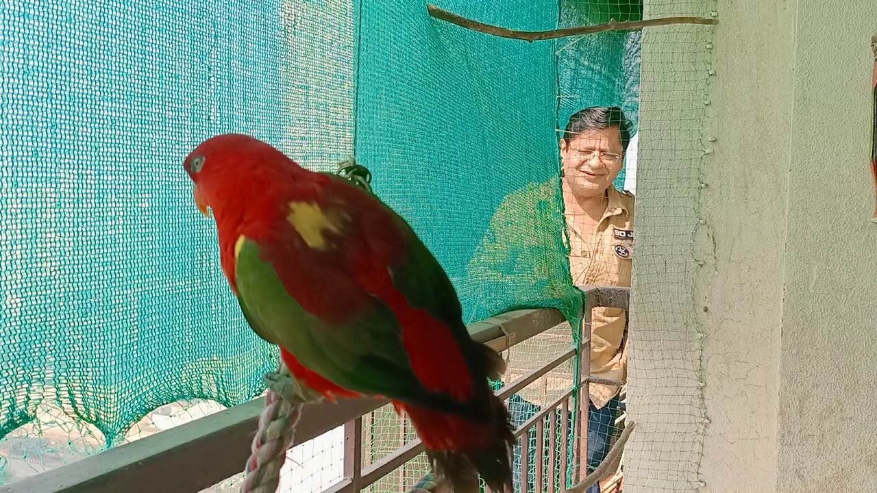 Sunny papa baae🙋🏻‍♂️se pehle chaae laao🦜🤭🙈