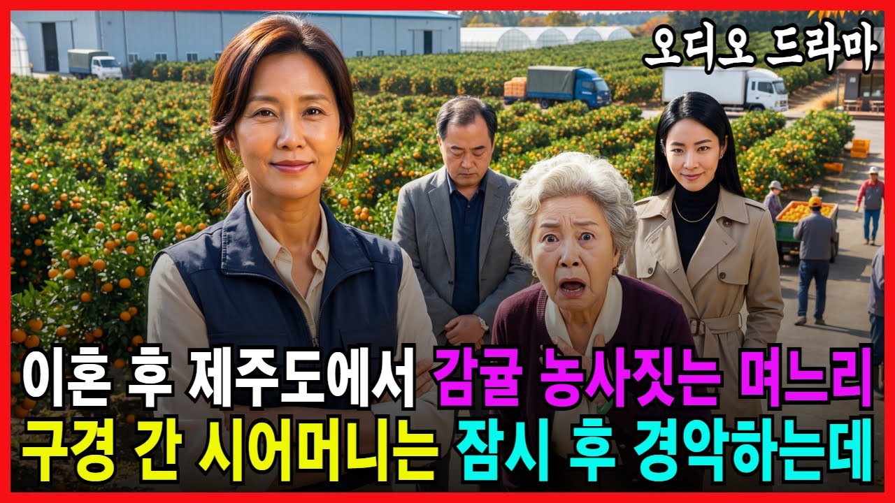 이혼 후 제주도에서 감귤 농사짓는 며느리 구경 간 시어머니 잠시 후 거품 물고 경악하는데 [ 오디오드라마 가족사연 감동사연 이혼사연 반전사연 시어머니사연 ]