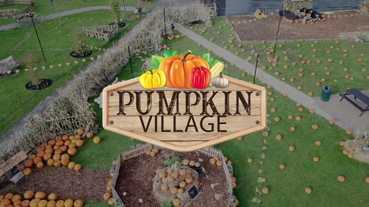 Pumpkin Picking Village