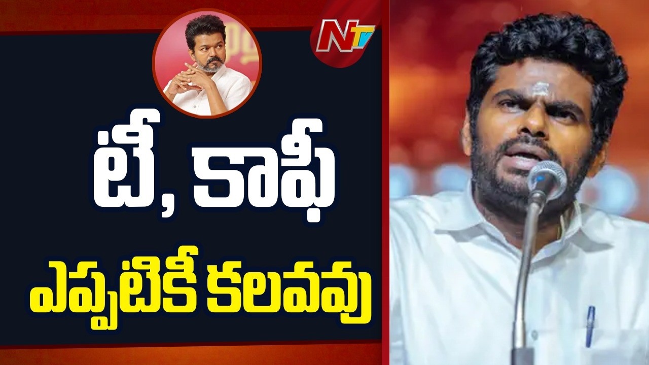 BJP Leader Annamalai : టీవీకే పార్టీతో పొత్తుపై స్పందించిన బీజేపీ నేత అన్నామలై | Tamilnadu | NTV