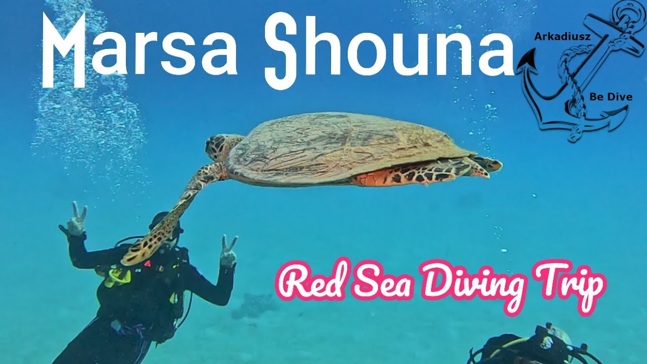 Marsa Shouna in the morning @ArkadiuszBeDive | Red Sea | Egypt | November Diving Trip