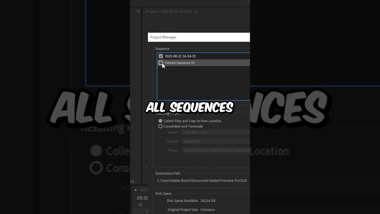Jak udostępnić projekt w programie Premiere Pro
