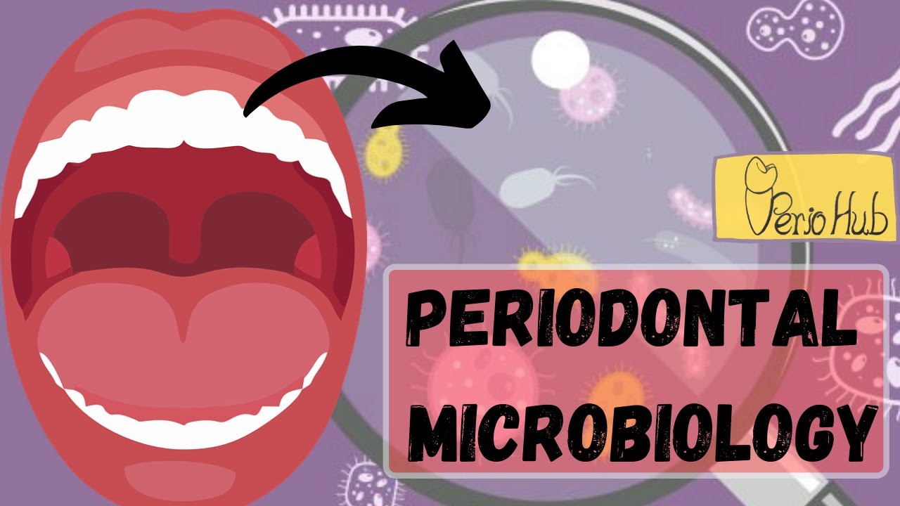 Periodontal Pathogens ‖ Microbiology in Periodontal Disease ‖ Periodontal Microbiology ( Part 2 )
