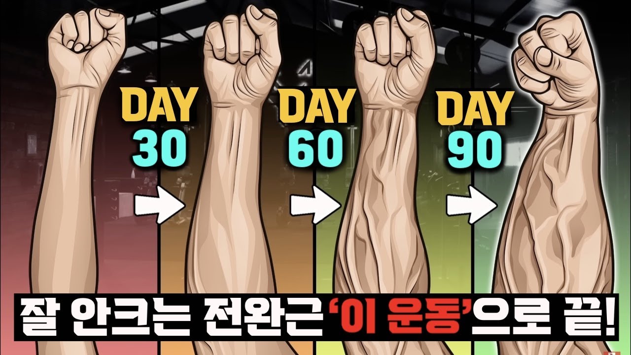일반인이 팔뚝(전완근)을 가장 빠르게 키우는 방법?