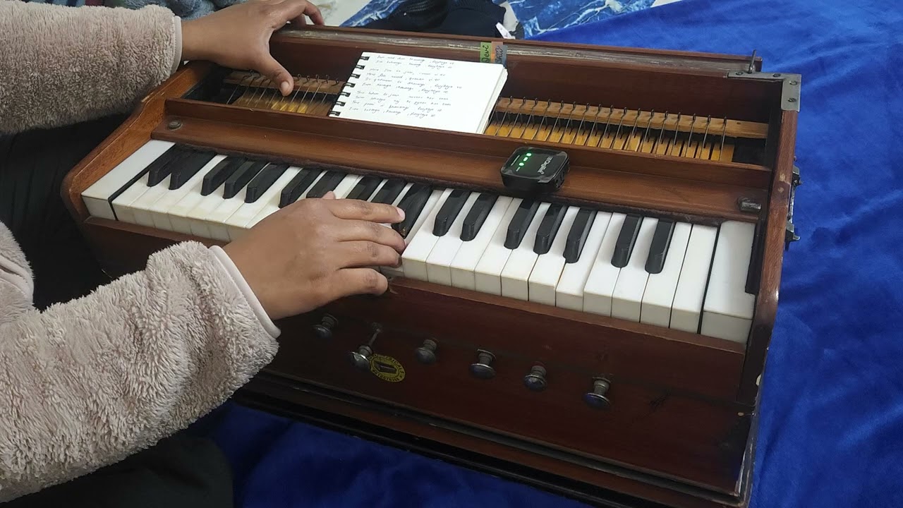 Dum naal dum bhaeangi Harmonium notes