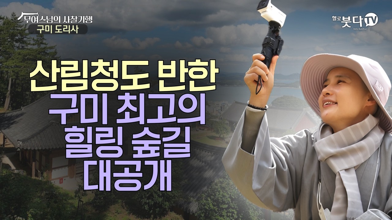 산림청도 반한 구미 최고의 힐링 숲길 대공개 | 힐링 여행 사찰 경상북도 구미 뷰맛집 | 무여스님의 사찰기행 6회 '경북 구미 도리사'