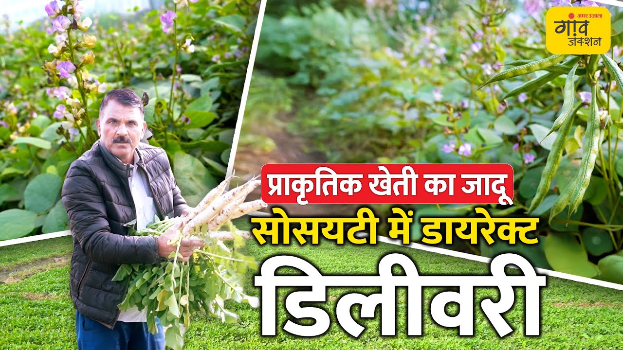 करोड़ों की जमीन बिल्डरों को नहीं बेची! खेती के जूनून को बनाया 'पैसे छापने की मशीन