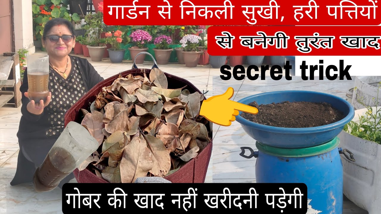 How to fast make Leaf composed at home 🏠🤔, organic Garden composed 